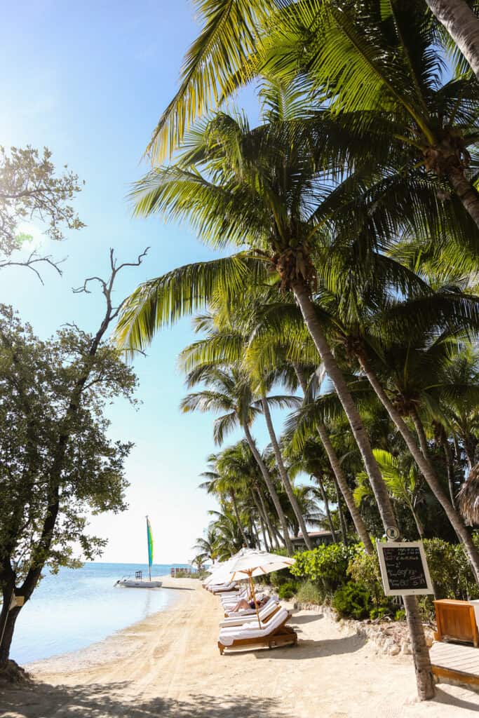 Wedding at Little Palm Island